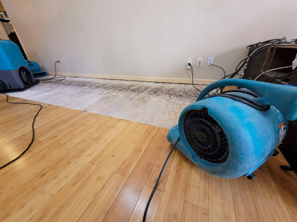 Professional Water Removal technician working in Fayette, MS